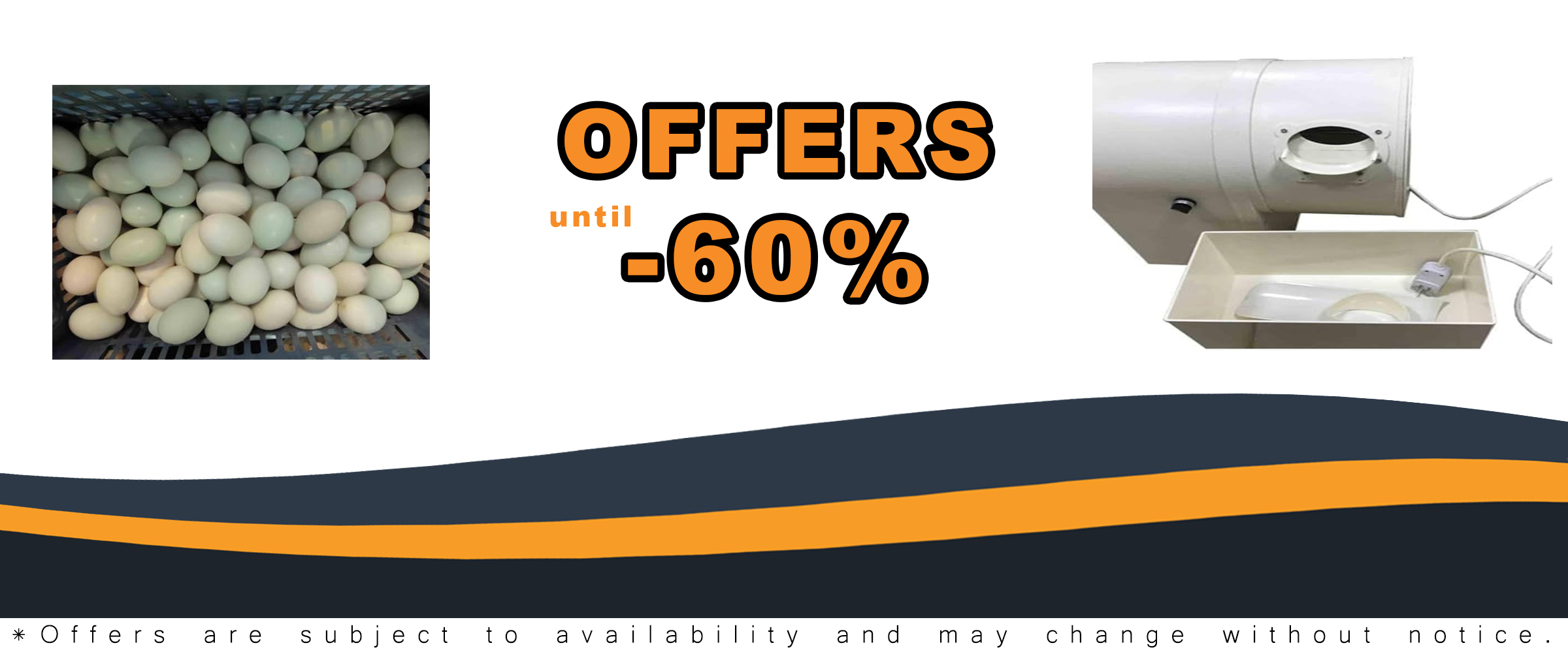 Egg Washing Machine for Chicken, Duck, and Goose Eggs - Efficient 2300pcs/h Cleaner