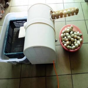 GBHJJ Automatic Egg Washing Machine, Egg Surface Cleaning Machine for Duck and Chicken Eggs