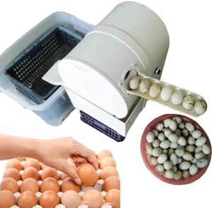 Automatic Egg Washing Machine for Cleaning Chicken and Goose Eggs