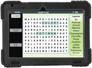 XXL WiFi 128GB Android 13 Tablet for Seniors with extra large screen and reinforced case