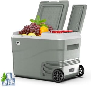 Alpicool 38L Dual Zone Car Fridge Freezer, 12V/24V/AC